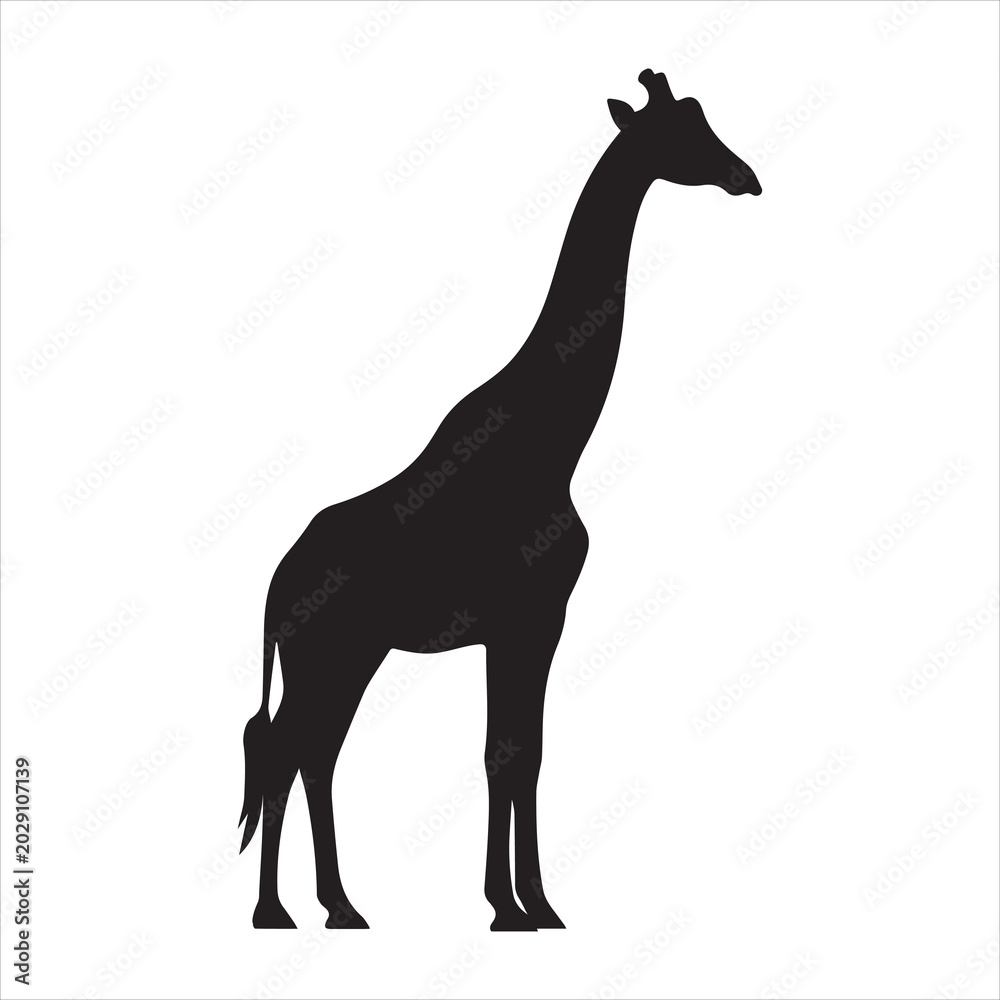 Fototapeta premium Simple elegant giraffe animal silhouette standing side view vector illustration