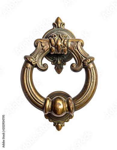 Ornate golden door handle with lion's head