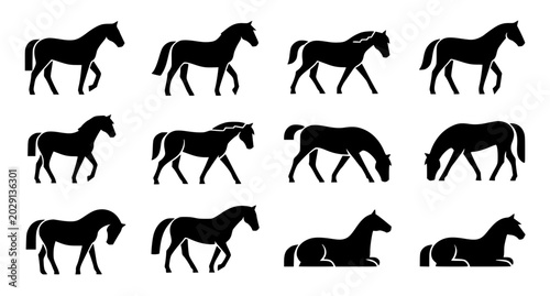 Fotografía Horse Silhouette Collection Set Isolated on White Background