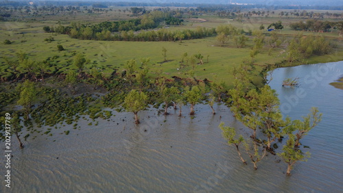 The serene swamp and mangrove forest areas of Chittagong showcase the rich natural beauty and ecological diversity of coastal Bangladesh. Surrounded by shallow water channels, green wetlands.