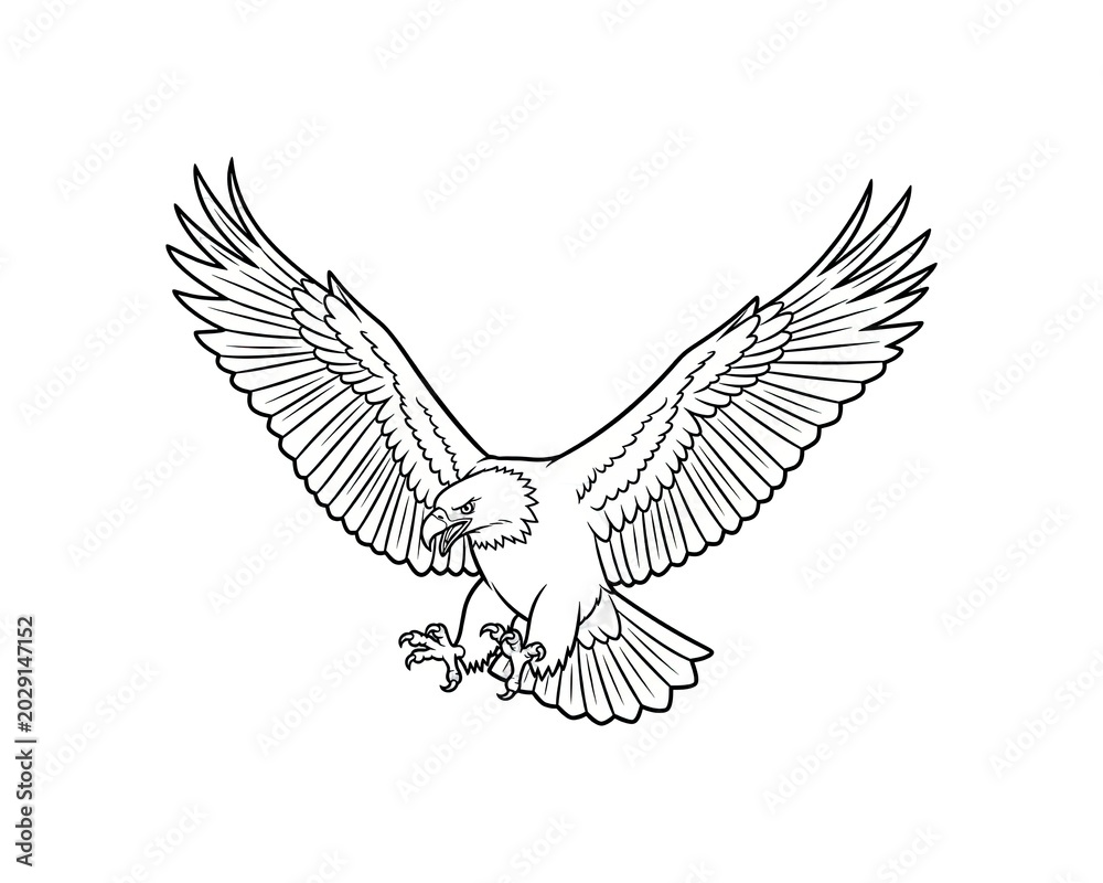 Obraz premium Eagle with outstretched wings landing or hunting with sharp talons extended against a white background