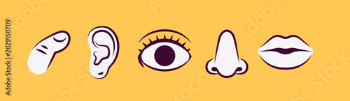 Body parts icon set with finger, ear, eye, nose and lips. Human anatomy symbols isolated. Vector illustration for medical, health and body concepts.