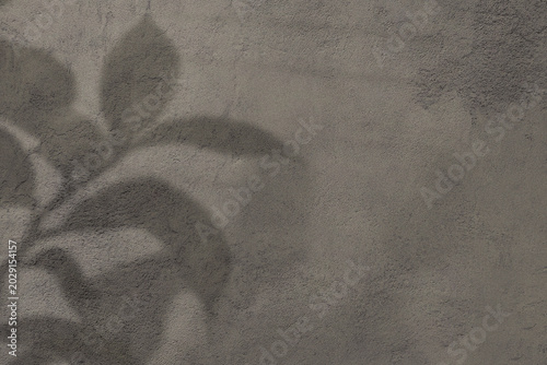 Minimalist leaf shadow on concrete wall, aesthetic plant silhouette on gray cement texture, moody botanical shadow background for overlay