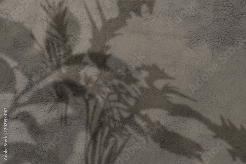 Minimalist plant shadow on concrete wall, soft botanical leaf silhouette on grey stone texture, organic floral shadows for background overlay