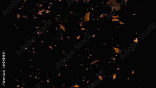 Autumn dry leaves falling on black background, flying brown foliage overlay, cinematic seasonal leaf motion for compositing and design