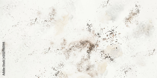 Bild auf Leinwand Abstract texture of black and grey mold spots on a white surface, resembling a natural abstract pattern, suggestive of decay or an environmental hazard