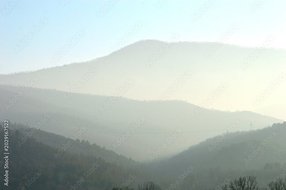 Naklejka premium morning fog and sun rays