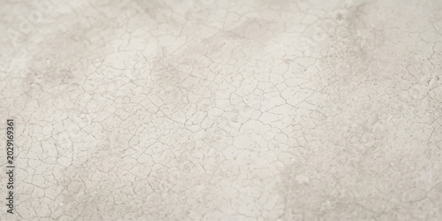 Fotografie Cracked concrete texture with fine lines creating a rustic and weathered surface, exhibiting a subtle grey tone and a granular, rough finish, for ui, web, art, design, background, etc