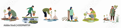 Fotografie Illustrations of diverse women participating in mangrove reforestation and wetland conservation activities for environmental protection and ecosystem restoration