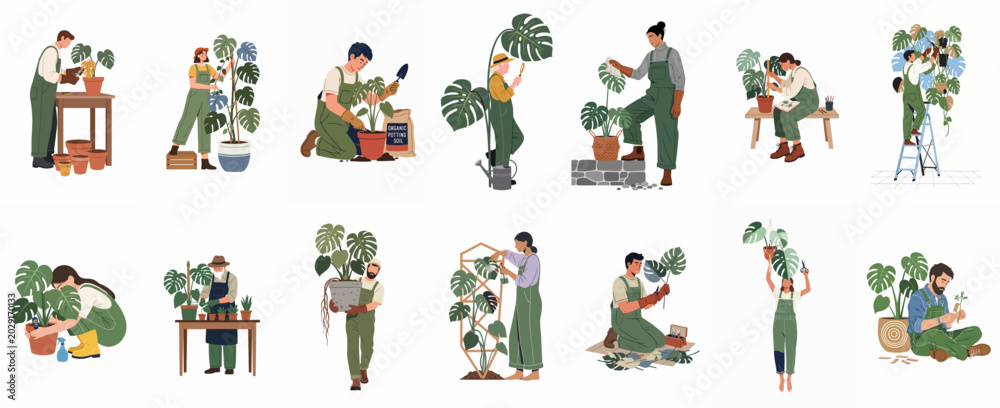 Naklejka premium Diverse collection of flat vector illustrations depicting people caring for Monstera deliciosa houseplants through potting, pruning, and nurturing activities.