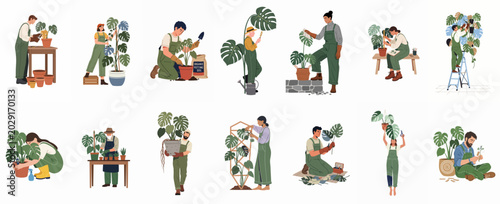 Foto Diverse collection of flat vector illustrations depicting people caring for Monstera deliciosa houseplants through potting, pruning, and nurturing activities