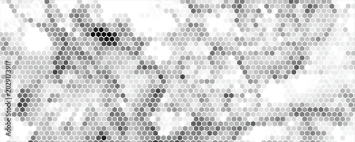 Hexagon grid background texture pattern colorful . Honeycomb vector background. Isometric geometry. Aspect Ratio 2:1