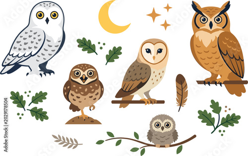 Fotografía Cute Forest Owl Wildlife Vector Element Set Featuring Snowy Owl, Barn Owl, Horne