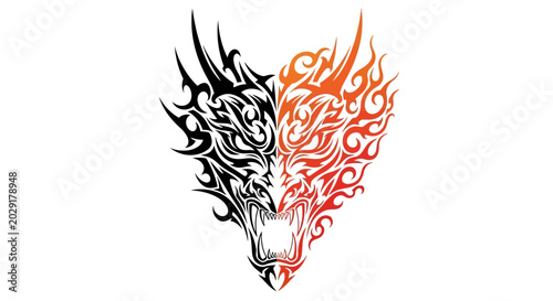 Photography Dragon Head with Fire Flames Burning.