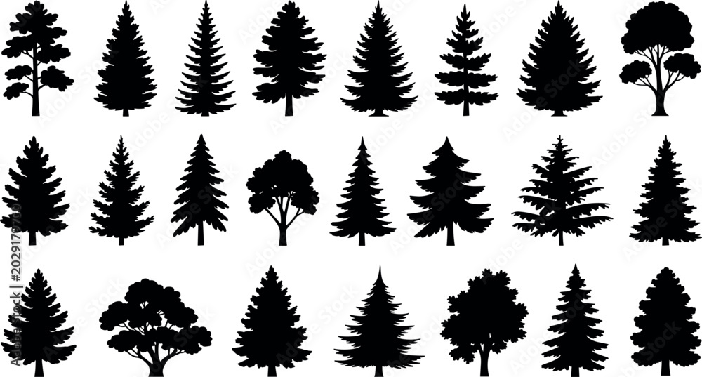 Fototapeta premium Evergreen pine and deciduous tree silhouettes vector illustration set for forest landscape design nature background and outdoor adventure graphic