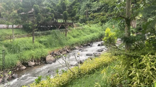 Riverside stream rushes over rocks. Lush greenery frames the flowing water. Rice terraces lie beside the rushing stream. Bamboo and palm trees rise above. Natural light filters through the canopy