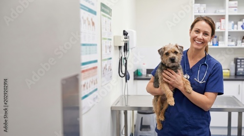 Smiling female veterinarian holds happy Border Terrier dog, ensuring its wellness check-up at a modern animal clinic.