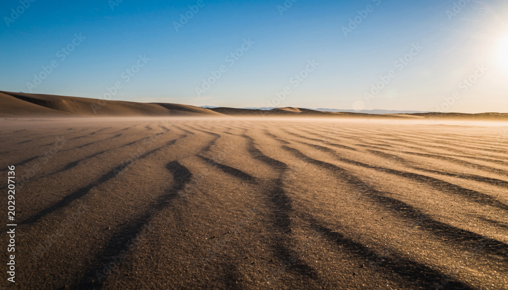Fototapeta premium Expansive desert with rippled sand dunes under a clear sky.