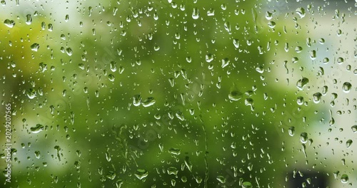 Raindrops falling and streaking down a window pane with a blurred green garden background on a rainy day. Close up, macro shot, real time, no people