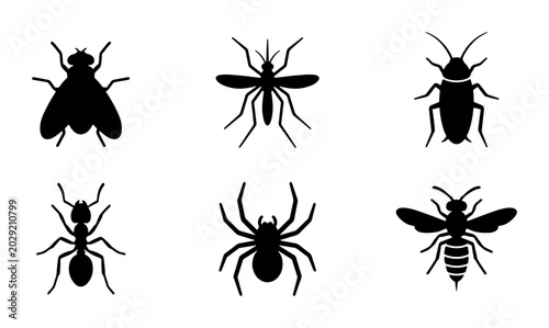 Bild auf Leinwand Insect Icons Collection, Vector Silhouettes of Common Pests: Fly, Mosquito, Cock