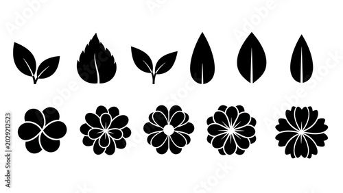 Black and white botanical illustration featuring various leaf and floral shapes in a minimalist style