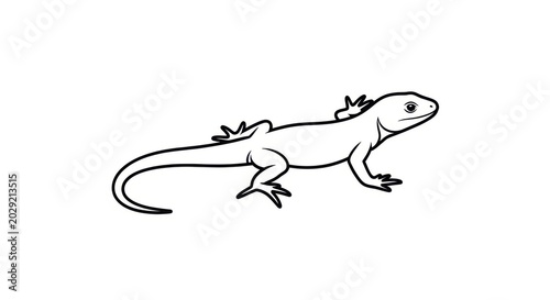 Line Drawing of Lizard Standing on Flat Surface