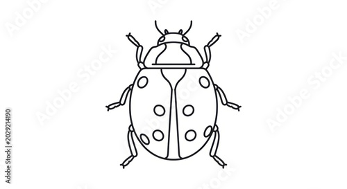 Stylized Black and White Line Drawing Ladybug With Seven Distinct Spots on Oval Body Shape