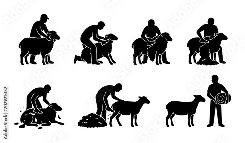 Quadro su tela Sheep Shearing Process Icons, Agricultural Farm Animal Husbandry Vector Set, Liv