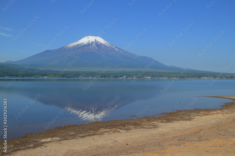 Fototapeta premium 逆さ富士 山中湖 青 空 背景