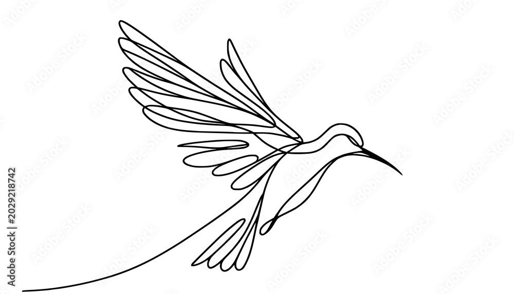 Fototapeta premium vector illustration of a bird