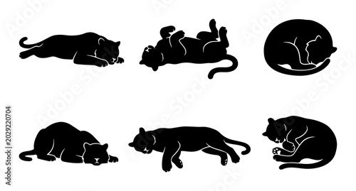 Foto Black Panther Silhouettes, Big Cat Poses, Vector Art Collection, Wild Animal Gra
