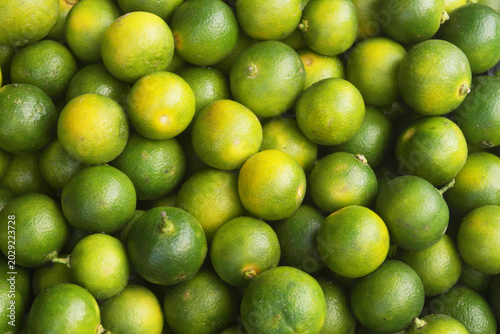 Many fresh calamansi limes as background	