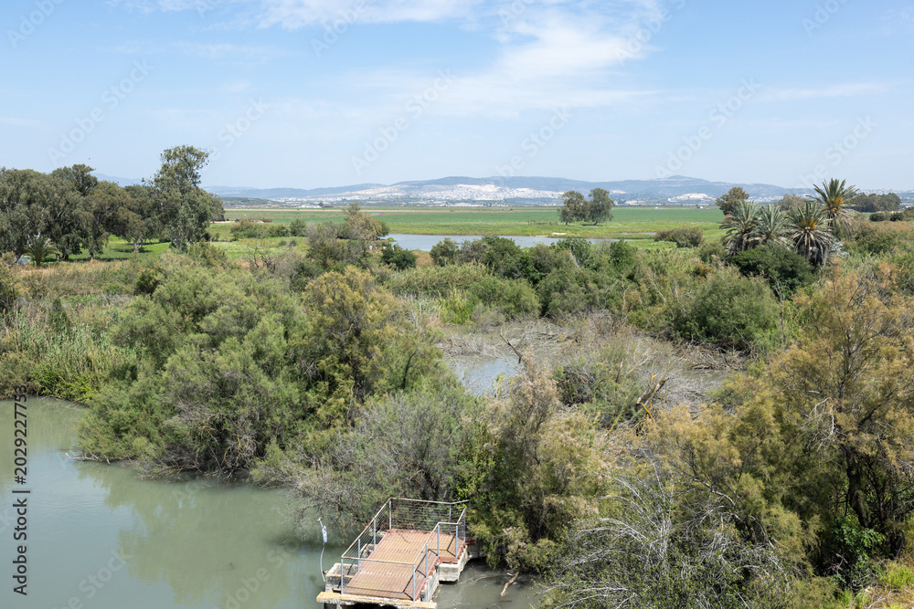 Fototapeta premium landscape with river