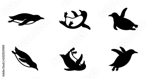 Foto Penguin Silhouettes Set, Antarctic Wildlife Vector Icons, Aquatic Bird Poses, Bl