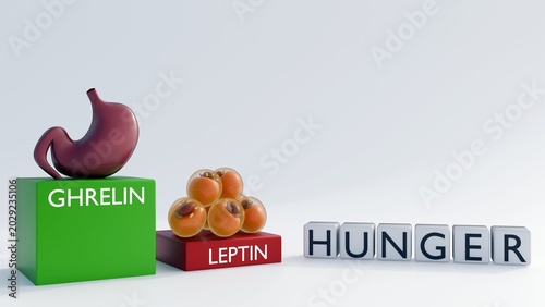 Foto A 3D rendering of ghrelin and leptin hormone columns features a comparative bar chart, the hormonal regulation of appetite