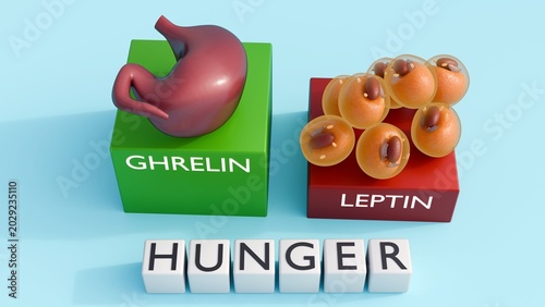 Fotografie A 3D rendering of ghrelin and leptin hormone columns features a comparative bar chart, the hormonal regulation of appetite