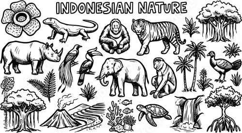 Photography Indonesian Nature and Wildlife: Hand-drawn Black and White Line Art of Endemic Animals, Plants, and Landscapes - Tiger, Rhino, Orangutan, Komodo, Rafflesia