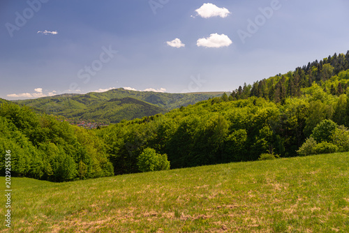 Panoramic horizontal view of a beautiful summer mountain landscape with a green meadow, dense forests, and rolling hills under a blue sky with soft white clouds. 