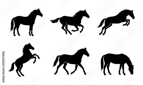 Foto Six Silhouette Horse Poses Vector Set, Equestrian Animal Collection, Galloping a