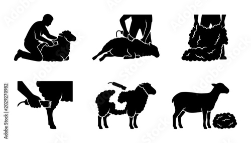 Foto Sheep Shearing Process Icons, Livestock Farming Vector Set, Agricultural Animal