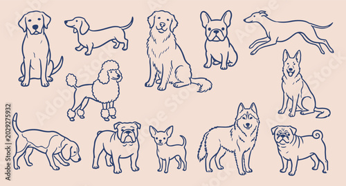 Photography Diverse dog breed set, canine companion collection sketch, minimalist pet portra