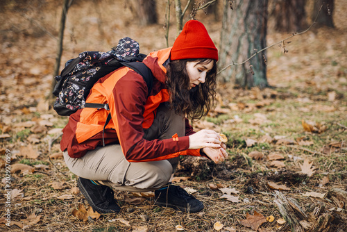 Woman crouches in forest and examines wild mushroom. wild mushroom foraging, gathering edible plants, sustainable self-sufficiency.