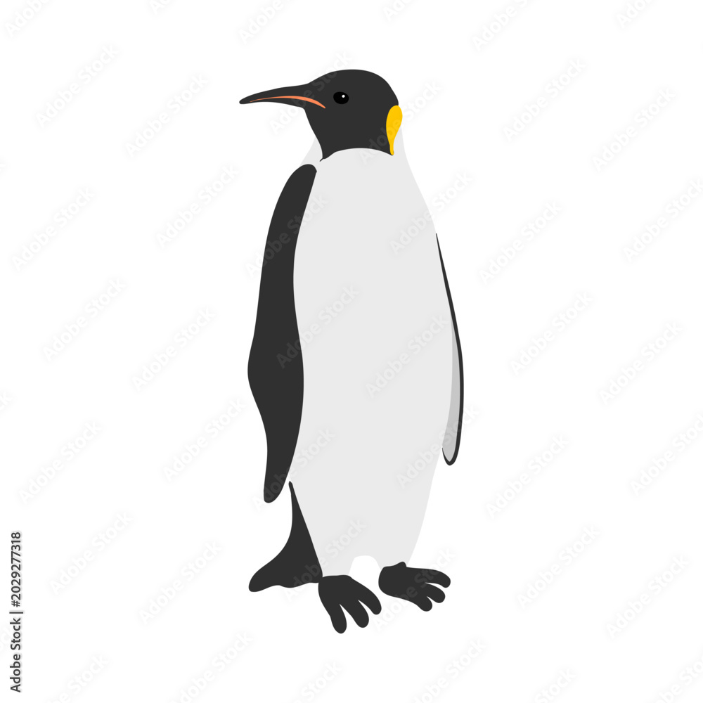 Obraz premium vector drawing emperor penguin, Aptenodytes forsteri isolated at white background, hand drawn illustration