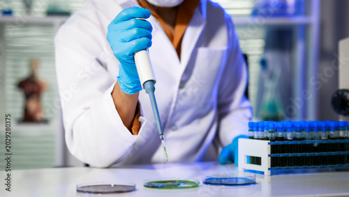 Tableau sur toile Scientist in lab coat and mask using micro pipette at bench with petri dishes and test tubes, blue gloves, modern laboratory setting