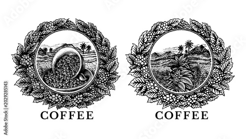 Cup with coffee beans on plantation, inside wreathes made of coffee branches. Vector in sketche style on white. Ideal for cafe, trade company, roasting labels, packaging, branding, menu design, logos