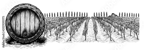Vintage wooden wine barrel deside vineyard with rows of grapevines and farmhouse. Vector illustration in sketch style  on white, Ideal for wine labels, winery branding, distillery, cellar, refinery.