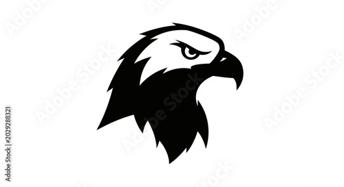 Fotografía Black and white eagle head profile.
