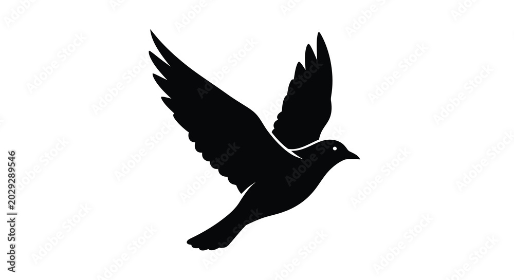 Fototapeta premium Bird in flight silhouette on transparent background
