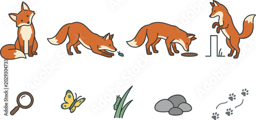 Photography Curious Red Fox Vector Illustration Set Featuring Wild Animals Exploring Nature