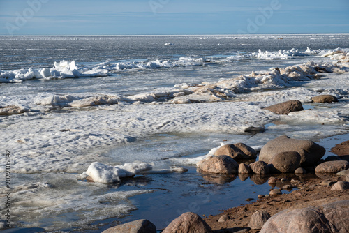Foto March day on the Gulf of Finland. Leningrad Region, Russia